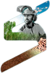 Profissional do setor florestal