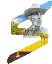 Produtor no canavial